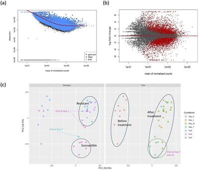 Molecular basis of resistance to leaf spot disease in oil palm